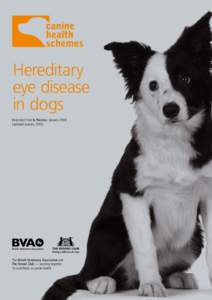 Dog breeds / Spaniels / Blindness / Terriers / Retinal dysplasia / Progressive retinal atrophy / Ectopia lentis / Glaucoma / Collie eye anomaly / Health / Ophthalmology / Medicine