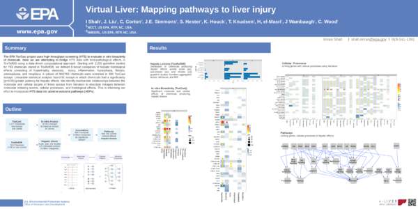 EPA www.epa.gov Virtual Liver: Mapping pathways to liver injury I Shah , J. Liu , C. Corton , J.E. Simmons , S. Hester , K. Houck , T. Knudsen , H, el-Masri , J Wambaugh , C. Wood 1