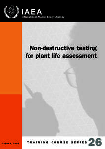 Non-destructive testing for plant life assessment VIENNA, 2005  T R A I N I N G