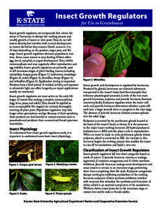Insect Growth Regulators for Use in Greenhouses Insect growth regulators are compounds that mimic the action of hormones to disrupt the molting process and modify growth of insect or mite pests. They do not kill