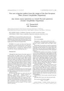 Erigoninae / Pedipalp / Tibia / Salticidae / Spider anatomy / Epigyne / Linyphiidae