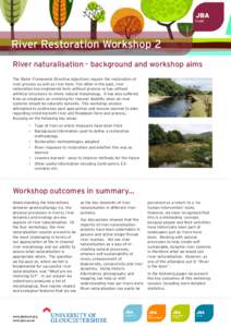 River Restoration Workshop 2 River naturalisation - background and workshop aims The Water Framework Directive objectives require the restoration of river process as well as river form. Too often in the past, river resto