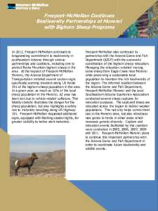 Morenci /  Arizona / Morenci / Bighorn sheep / Geography of Arizona / Arizona / Fauna of the United States / Geography of the United States / Safford micropolitan area / Western New Guinea / Freeport-McMoRan