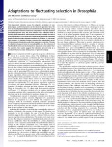 Adaptations to fluctuating selection in Drosophila Ville Mustonen and Michael La¨ssig* Institut fu¨r Theoretische Physik, Universita¨t zu Ko¨ln, Zu¨lpicherstrasse 77, 50937 Ko¨ln, Germany Time-dependent selection c