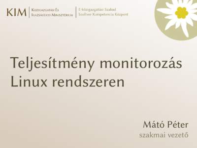 Teljesítmény monitorozás Linux rendszeren Mátó Péter szakmai vezető  Mátó Péter: