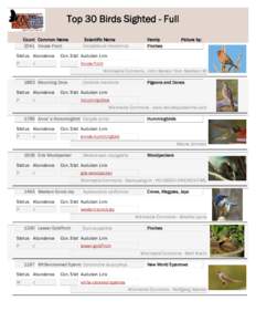 Top 30 Birds Sighted - Full Count Common Name 2041 House Finch Status Abundance P