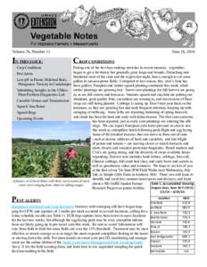 Microbiology / Potyviridae / Agriculture / Chrysomelidae / Viruses / Cucumber mosaic virus / Zucchini yellow mosaic virus / Papaya ringspot virus / Striped cucumber beetle / Agricultural pest insects / Biology / Aphids