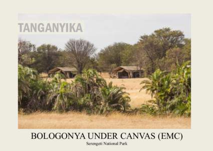 TANGANYIKA  BOLOGONYA UNDER CANVAS (EMC) Serengeti National Park  WILDERNESS