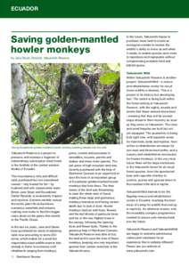 ECUADOR  Saving golden-mantled howler monkeys  In the future, Yakusinchi hopes to