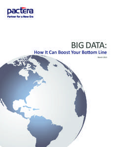 BIG DATA:  How It Can Boost Your Bottom Line March 2013