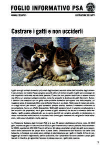 FOGLIO INFORMATIVO PSA Animali selvatici castrazione dei gatti  ISTOCKPHOTO