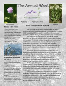 Volume 11 Field Scabious Inside This Issue: 1-Teton Conservation District 2-Teton Science School