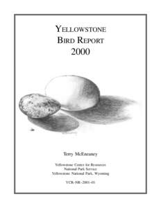 YELLOWSTONE BIRD REPORT 2000 Terry McEneaney Yellowstone Center for Resources