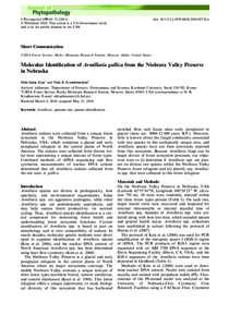 Botany / Armillaria gallica / Armillaria solidipes / Armillaria / Tree diseases / Biology / Microbiology