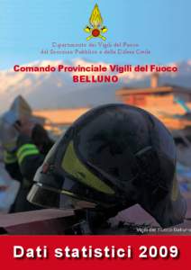 Dipartimento dei Vigili del Fuoco del Soccorso Pubblico e della Difesa Civile Comando Provinciale di Belluno Comando Provinciale Vigili del Fuoco Belluno