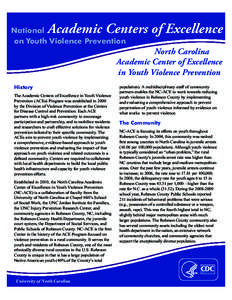 Academic Centers of Excellence  National on Youth Violence Prevention  North Carolina