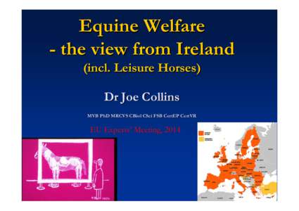 Equine Welfare in Ireland