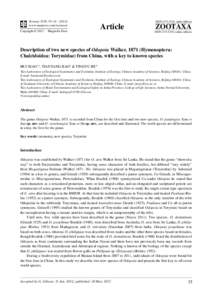 Description of two new species of Odopoia Walker, 1871 (Hymenoptera: Chalcidoidea: Torymidae) from China, with a key to known species