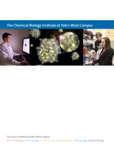 Craig_et_al_and_Schepartz_ChemBioChem_Cover_Flare.tif