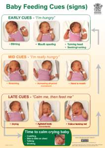 Baby Feeding Cues (signs) EARLY CUES - “I’m hungry” • Stirring  • Mouth opening