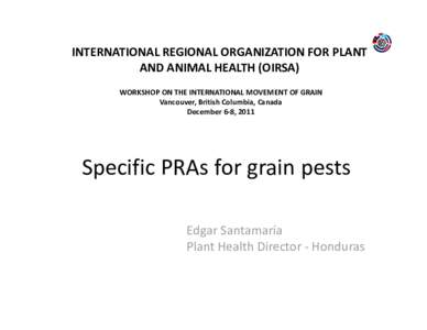 Tropical agriculture / Crops / Steneotarsonemus spinki / Staple foods / Paddy field / El Salvador / Flour / Aphelenchoides besseyi / Food and drink / Agriculture / Rice