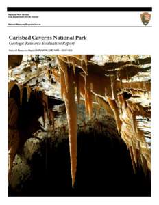 National Park Service U.S. Department of the Interior Natural Resource Program Center  Carlsbad Caverns National Park