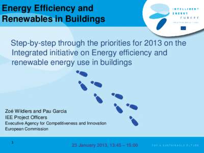 Energy Efficiency and Renewables in Buildings Step-by-step through the priorities for 2013 on the Integrated initiative on Energy efficiency and renewable energy use in buildings