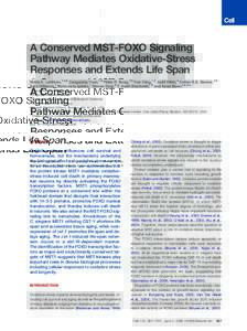 Cell signaling / Cell biology / Forkhead transcription factors / FOXO3 / Signal transduction / FOX proteins / Daf-2 / Akt/PKB signaling pathway / RNA interference / Mechanistic target of rapamycin / Ageing / Daf-16