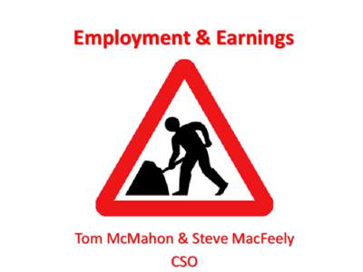 Employment & Earnings  Tom McMahon & Steve MacFeely CSO  Understanding the Labour Force