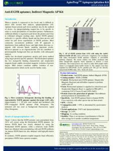 AptoPrepTM Aptoprecipitation Kit APPLICATION NOTE Anti-EGFR aptamer, Indirect Magnetic AP Kit Introduction When a protein is expressed at low levels and is difficult to