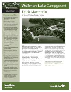 Wellman Lake Campgound Duck Mountain Provincial Park Campground Tips