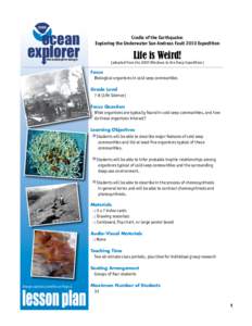 NOAA Ocean Explorer: Gulf of Mexico Expedition 2002