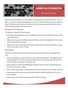 AMERICAN FOULBROOD Prevention & Control American foulbrood (AFB) is the most common and devastating of bee brood diseases.  The con-