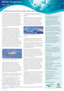 Issue 1_social life of dolphins.indd