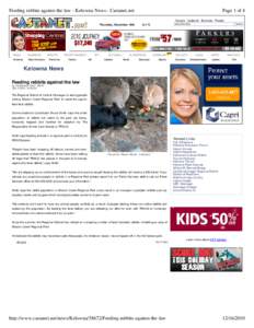 Feeding rabbits against the law - Kelowna News - Castanet.net  Page 1 of 4 Google Castanet Business People  Thursday, December 16th