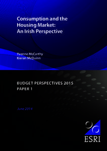 Consumption and the Housing Market: An Irish Perspective Yvonne McCarthy Kieran McQuinn