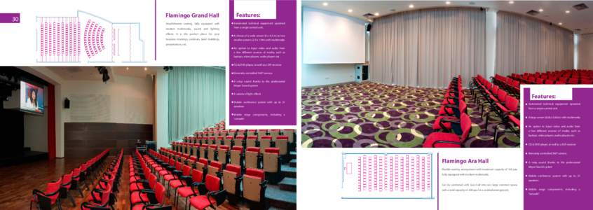 30  Flamingo Grand Hall Amphitheatre seating, fully equipped with modern multimedia, sound and lighting effects. It is the perfect place for your