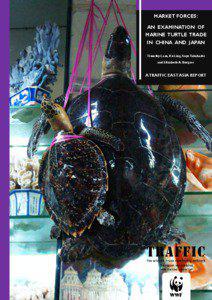 Market forces: An examination of marine turtle trade in China and Japan (PDF, 2.5 MB)