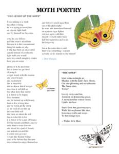 MOTH POETRY “THE LESSON OF THE MOTH” I was talking to a moth the other evening he was trying to break into an electric light bulb