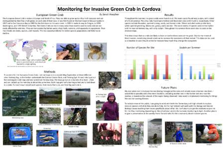 Monitoring for Invasive Green Crab in Cordova By Sarah Hoepfner European Green Crab  The European Green Crab is native to Europe and North Africa. They are able to grow up to a four inch carapace and are
