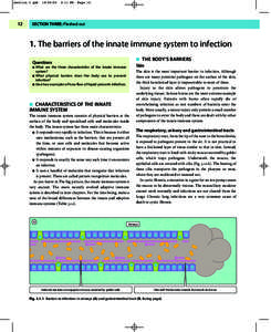 Immune system / Alternative complement pathway / Innate immune system / Mannan-binding lectin / Complement component 3 / Complement membrane attack complex / Toll-like receptor / Collectin / Adaptive immune system / Anatomy / Biology / Complement system