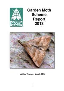 Garden Moth Scheme Report[removed]Heather Young – March 2014