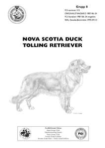 Standard för Nova scotia duck tolling retriever