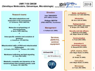 UMR 7156 GMGM (Génétique Moléculaire, Génomique, Microbiologie) Direction Research teams  Ivan TARASSOV