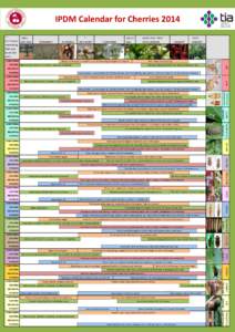 IPDM Calendar for Cherries 2014 DORMANCY MONITORING  BUDSWELL