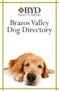 Animal welfare / Dogs as pets / Dog breeds / Animal shelters / Dog parks / Rescue dog / Kennel / Fax / Labrador Retriever / Bo / Dog