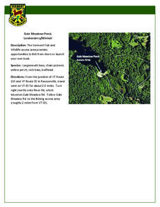 Gale Meadows Pond, Londonderry/Winhall Description: The Vermont Fish and Wildlife access area provides opportunities to ﬁsh from shore or launch your own boat.