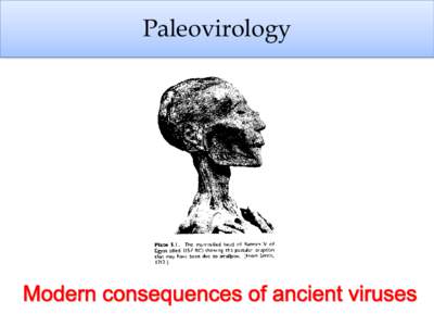 Paleovirology  Why are humans infected with some lentiviruses and not others?  HIV-2