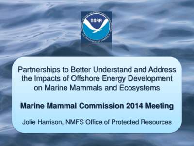 Partnerships to Better Understand and Address the Impacts of Offshore Energy Development on Marine Mammals and Ecosystems Marine Mammal Commission 2014 Meeting Jolie Harrison, NMFS Office of Protected Resources