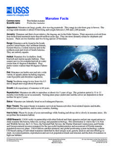 Common name: Scientific name: West Indian manatee Trichechus manatus